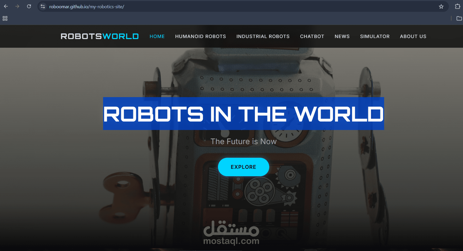 Robots in the World