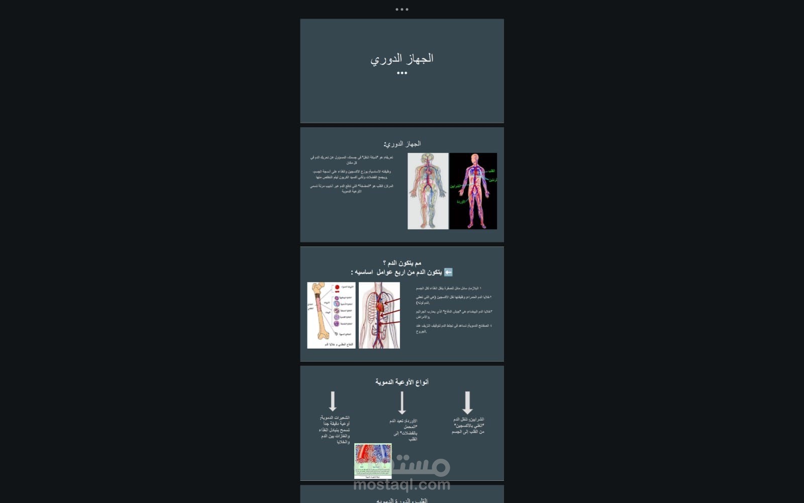 تصميم عرض تقديمي (PowerPoint) تعليمي ومنظم عن الجهاز الدوري