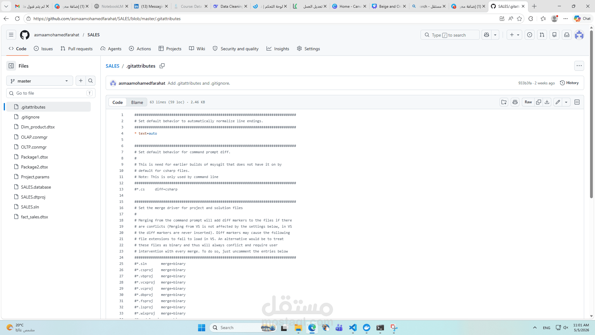 Sales Data Warehouse & ETL Pipeline (SSIS Project)