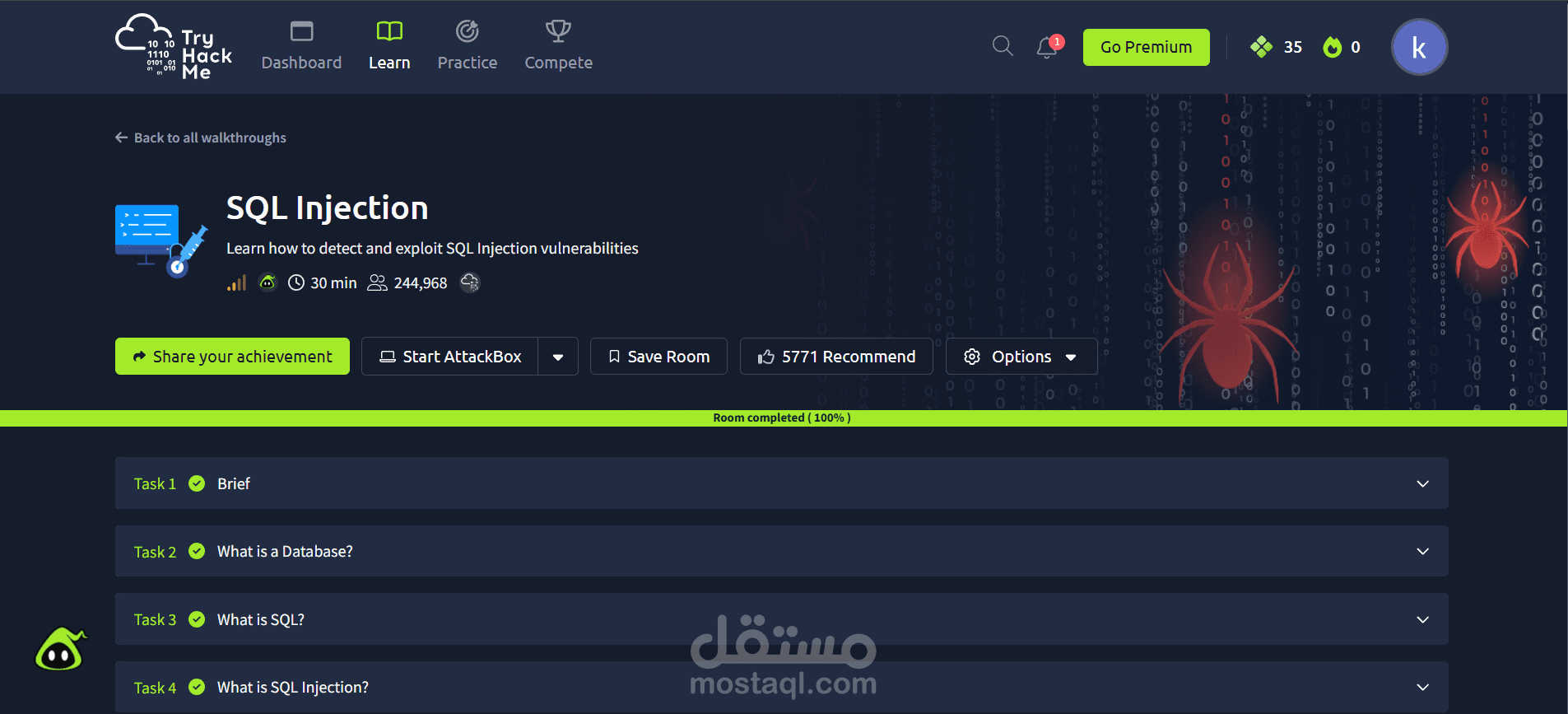 SQL Injection Vulnerability Assessment (TryHackMe Lab)