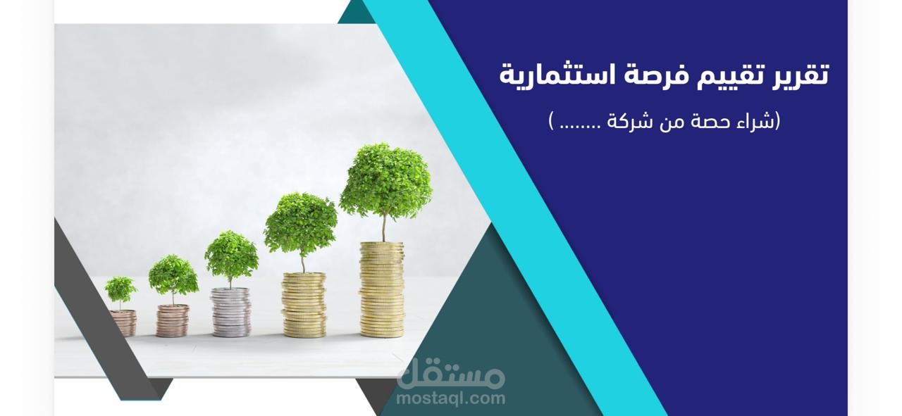 تقرير تقييم فرصة استثمارية