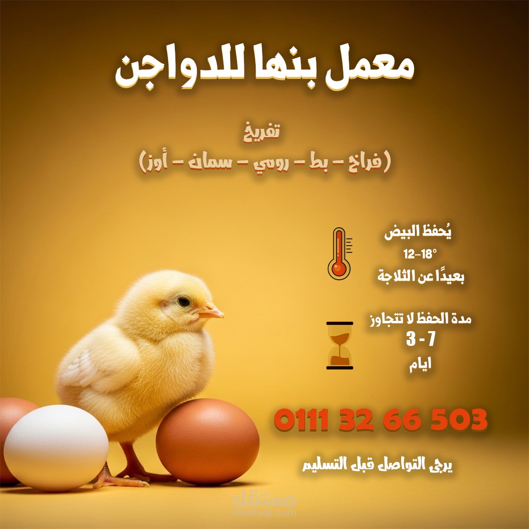 اعلان دواجن