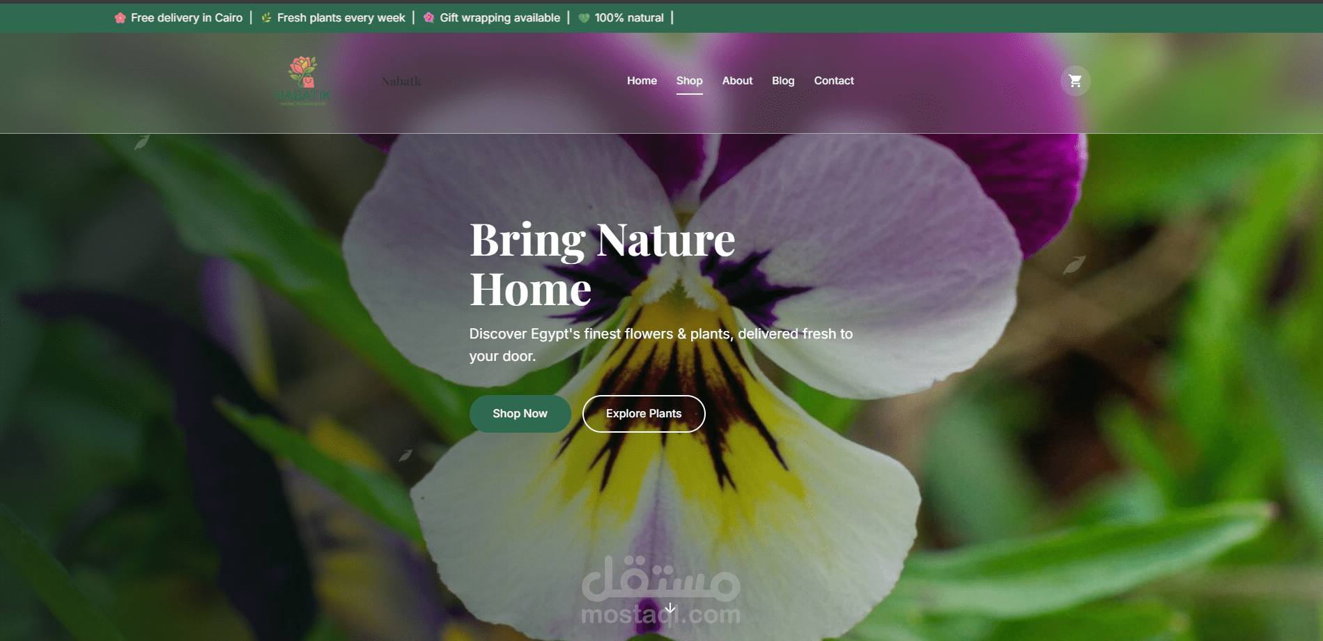 تصميم متجر إلكتروني متكامل للنباتات والورود (Front-End UI)