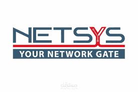 تطوير متجر الكتروني لشركة Netsys US