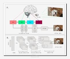 image classification