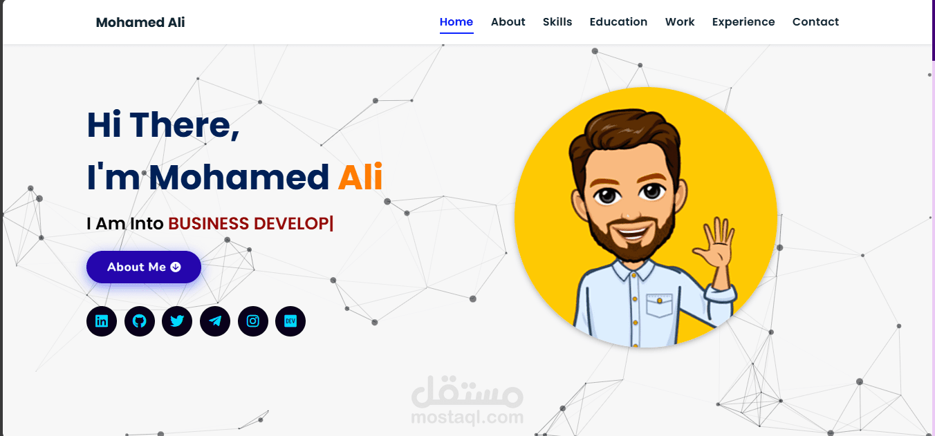 Portfolio Website for sales team leader
