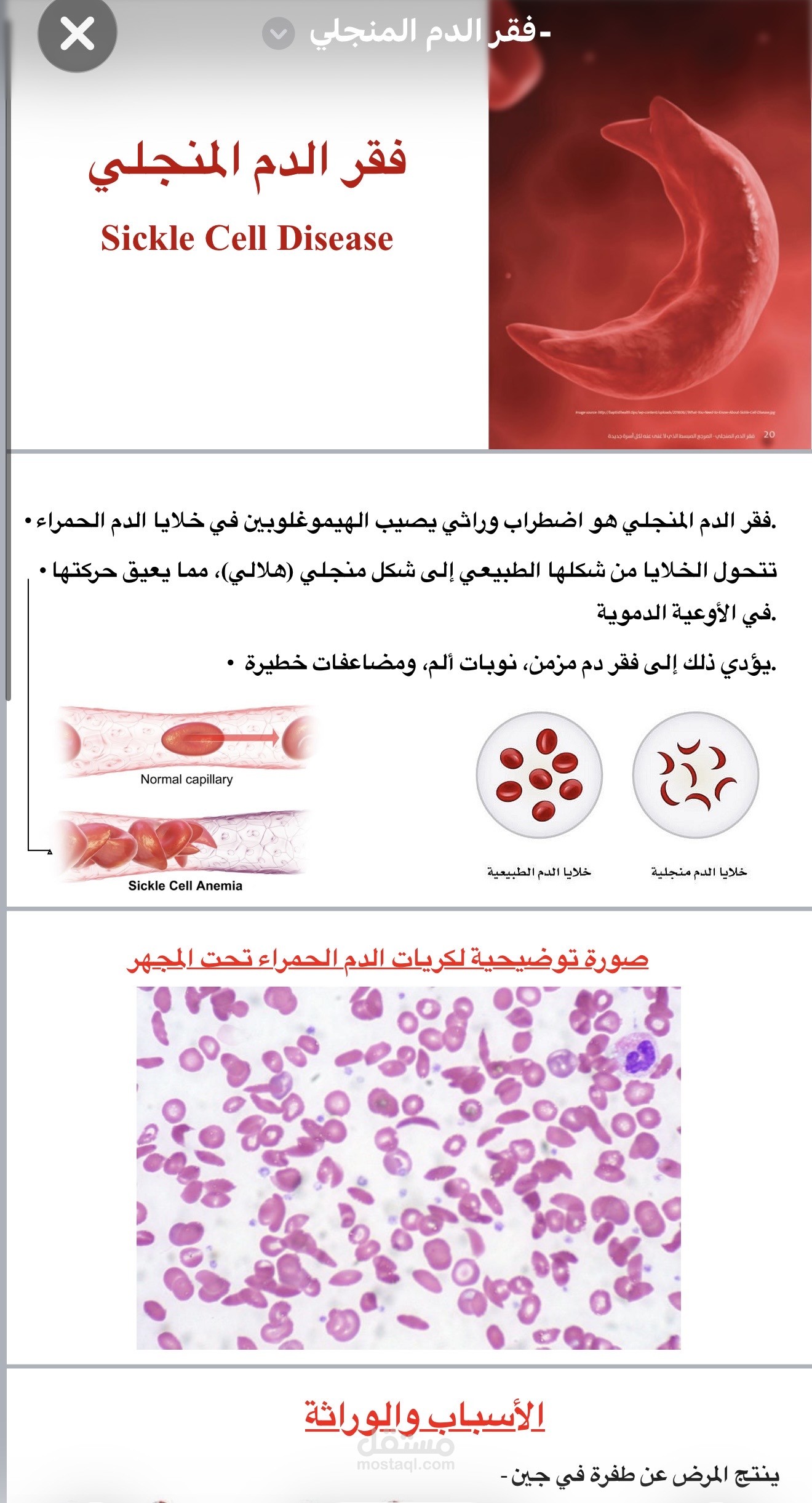 إعداد وتنسيق محتوى بحثي وتعليمي متخصص