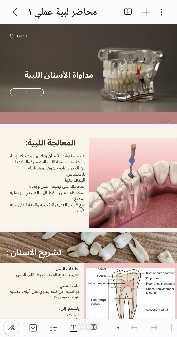تصميم عرض تقديمي طبي تعليمي