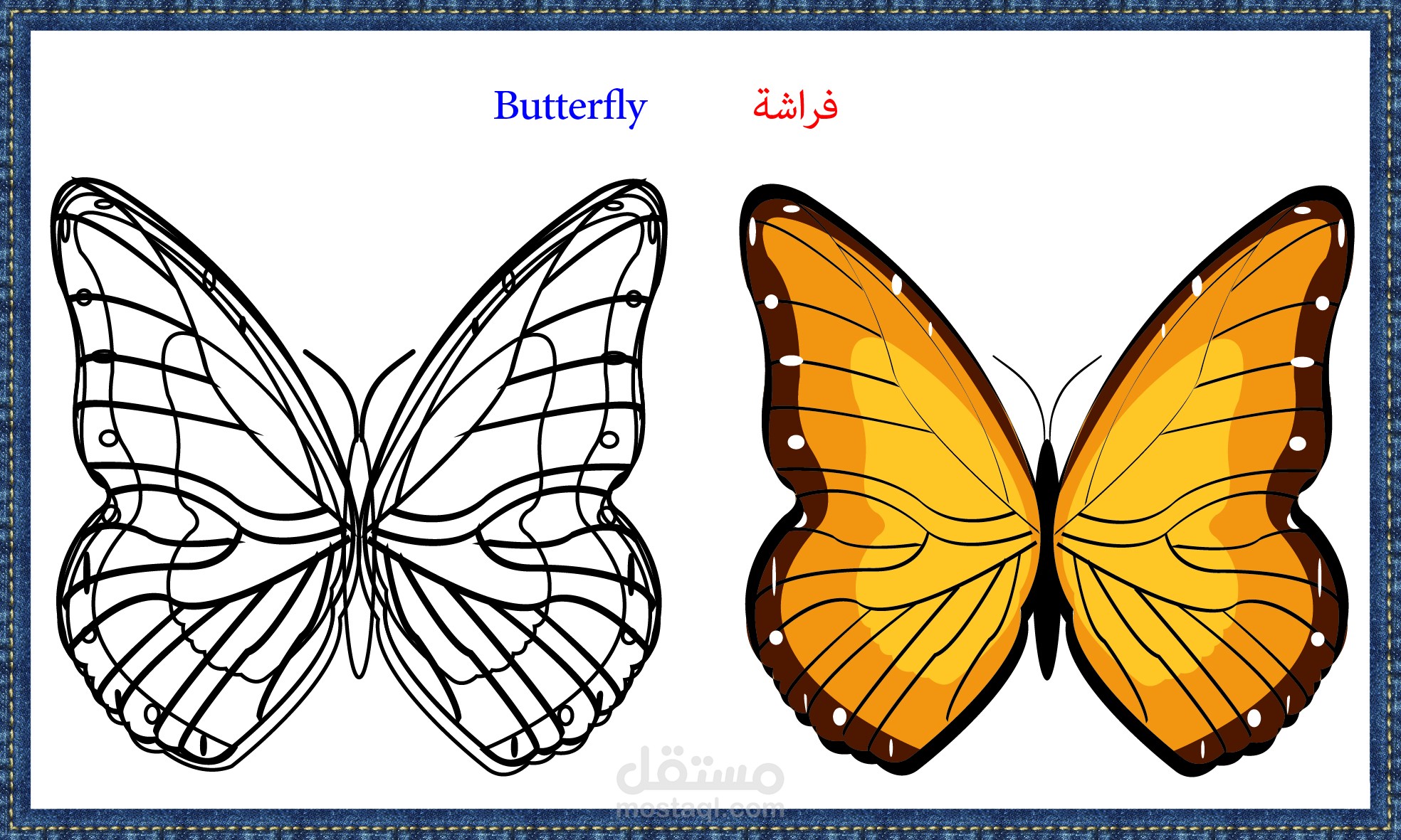 ارسم وتعلم الانجليزيه بسهوله 