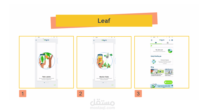 Mobile Application for the identification and detection  of plant diseases