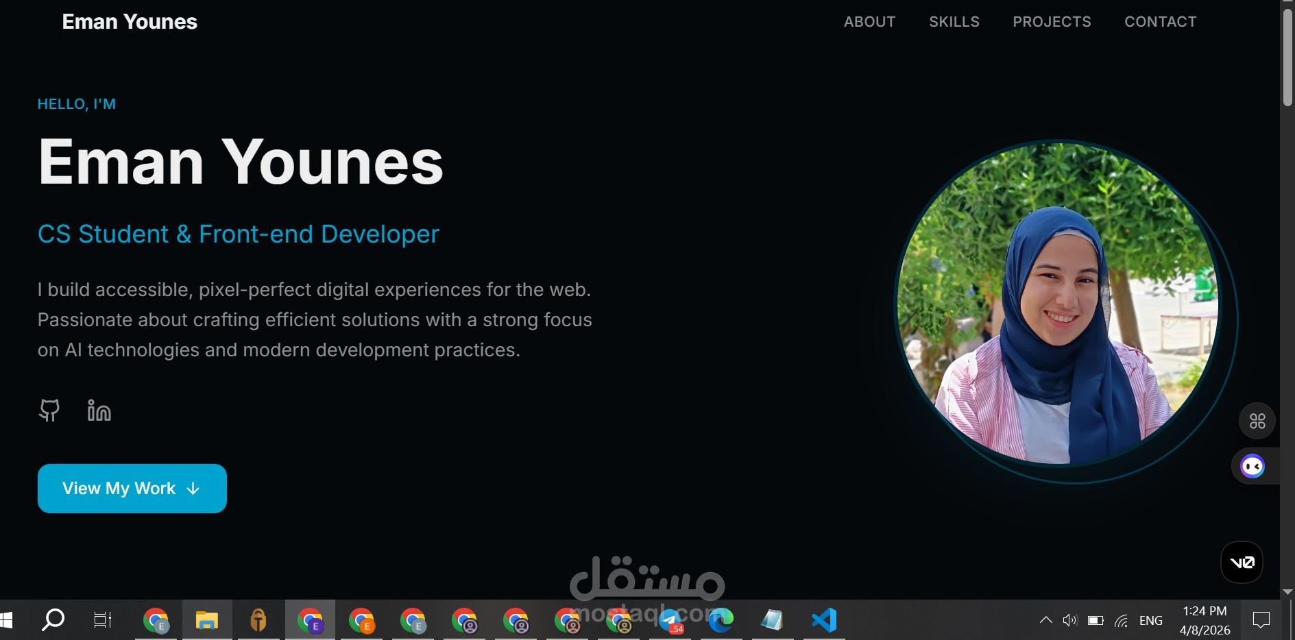 Professional Portfolio