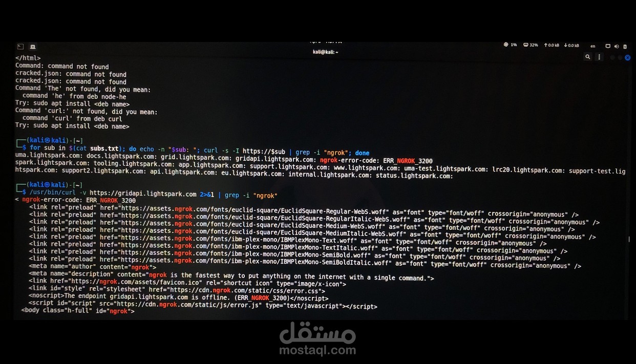 فحص واختبار أمان تطبيقات الويب واكتشاف ثغرات الAPIS