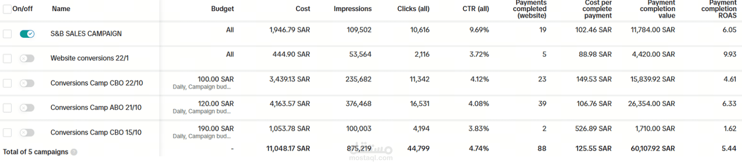 Media Buyer متخصص في تحقيق أعلى عائد على الاستثمار (ROI)