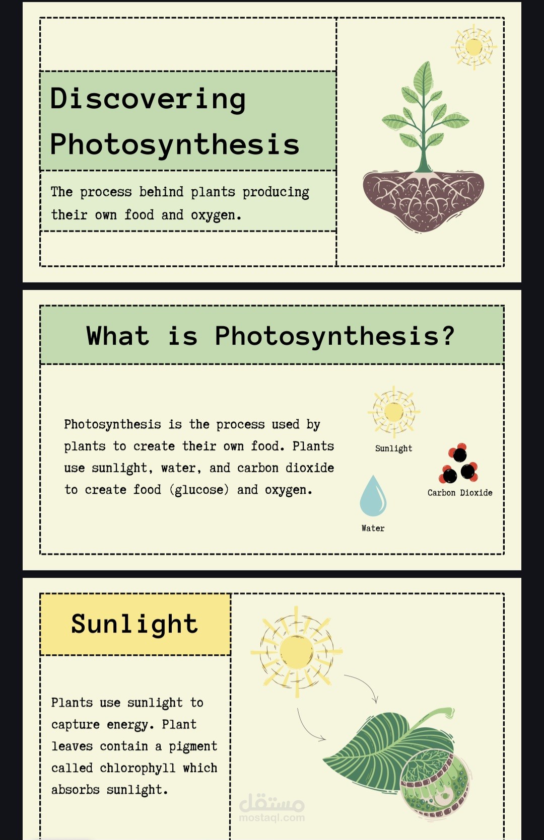 Photosynthesis