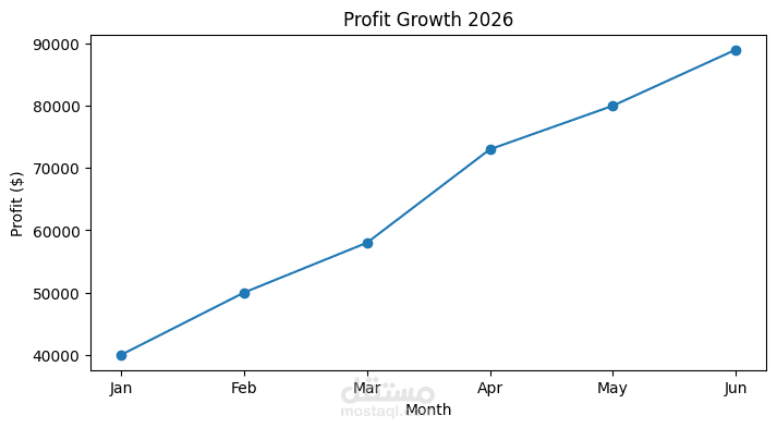 Executive Excel Dashboard for Sales & Financial Analysis