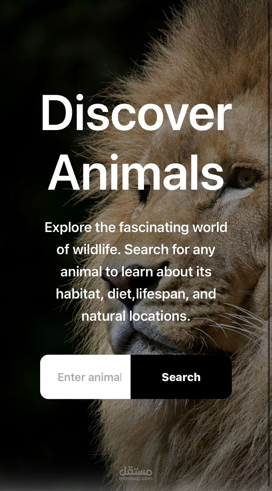 تطبيق ويب للبحث عن أي حيوان