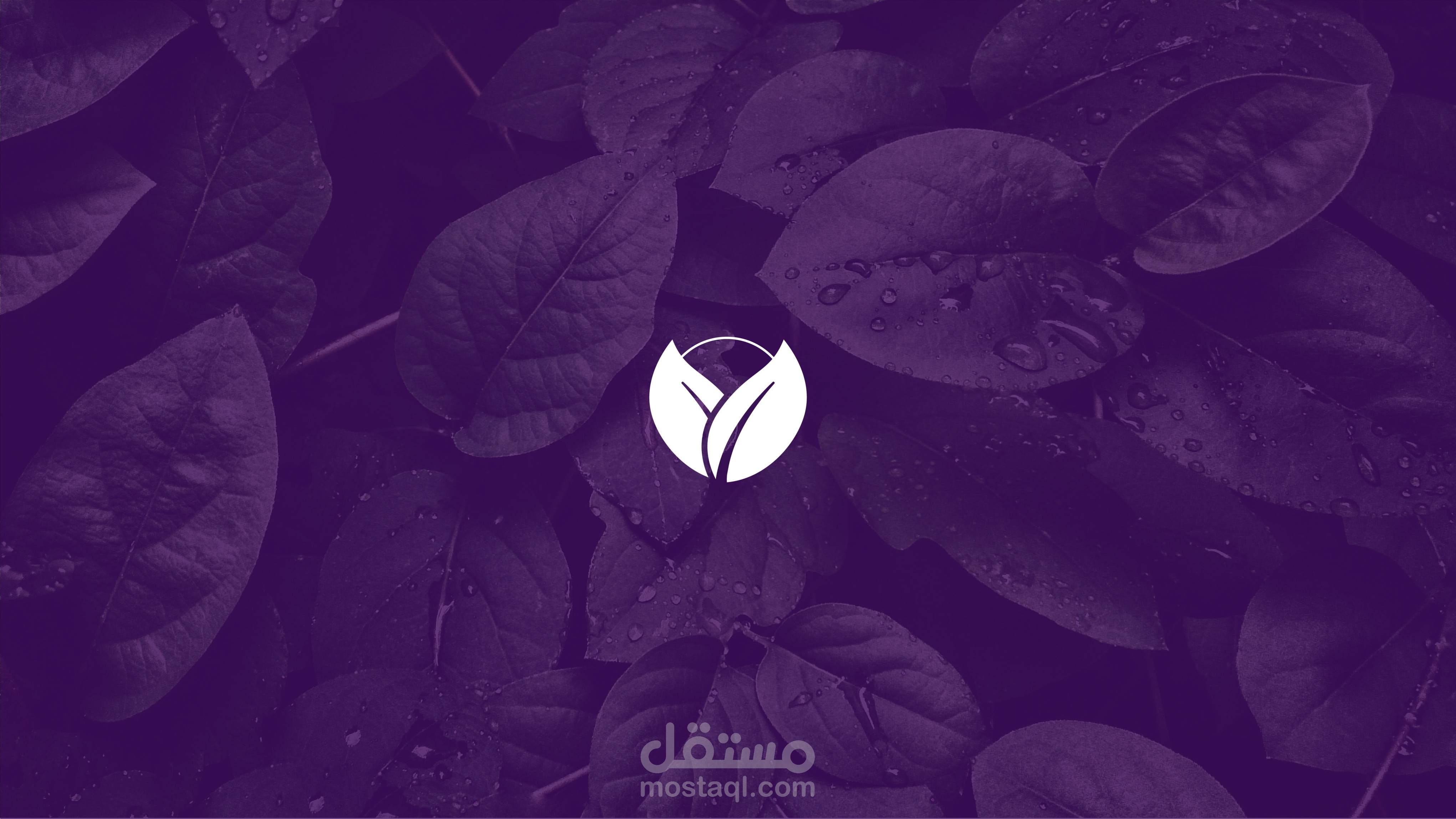 هوية بصرية لأشيريس - ASHIRIS Visual Identity