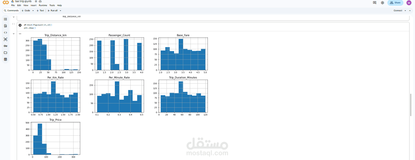 Taxi Trip Data Analysis & Prediction