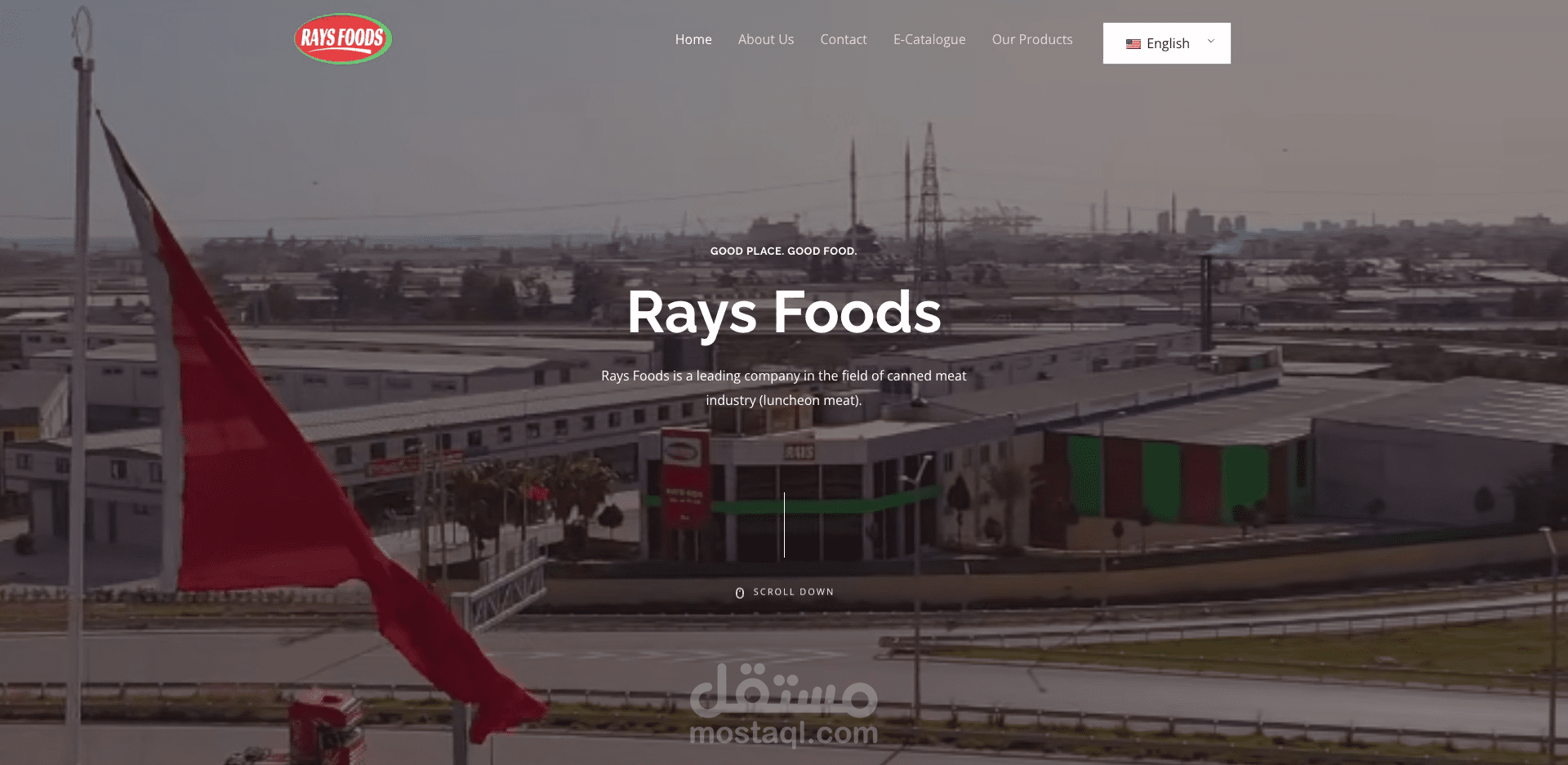 موقع تعريفي Rays Gıda