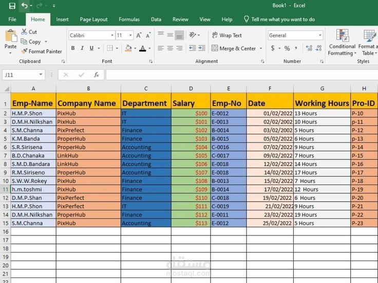 إدخال وتنظيم بيانات موظفين (English Data Entry).
