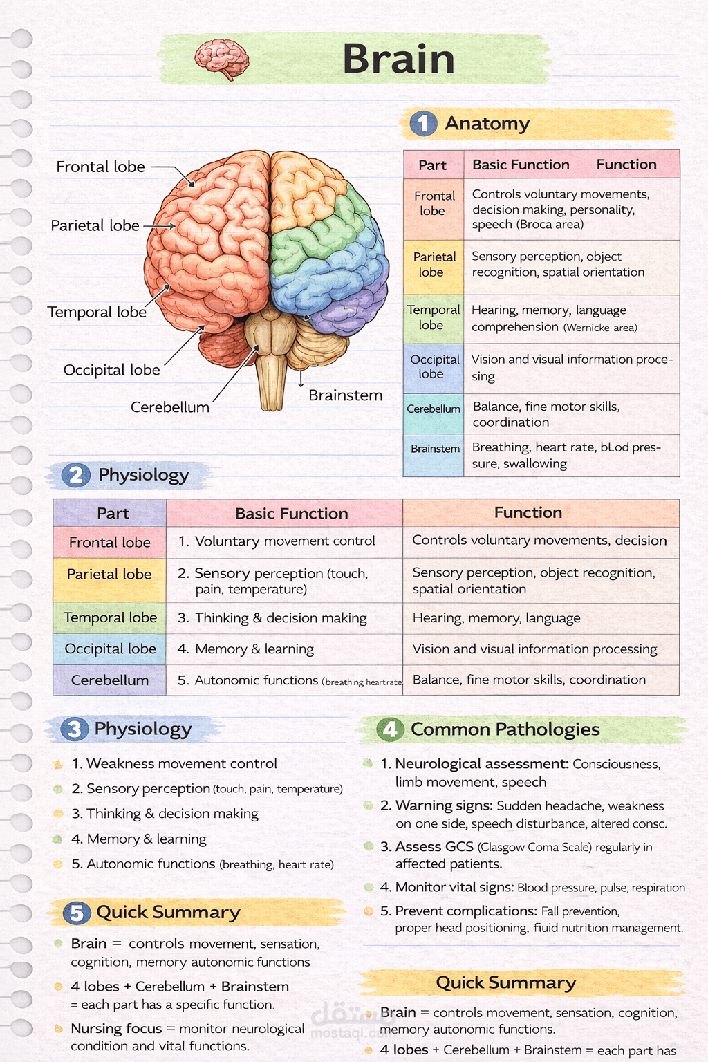 Brain Explained: A Simple Journey Into Human Intelligence