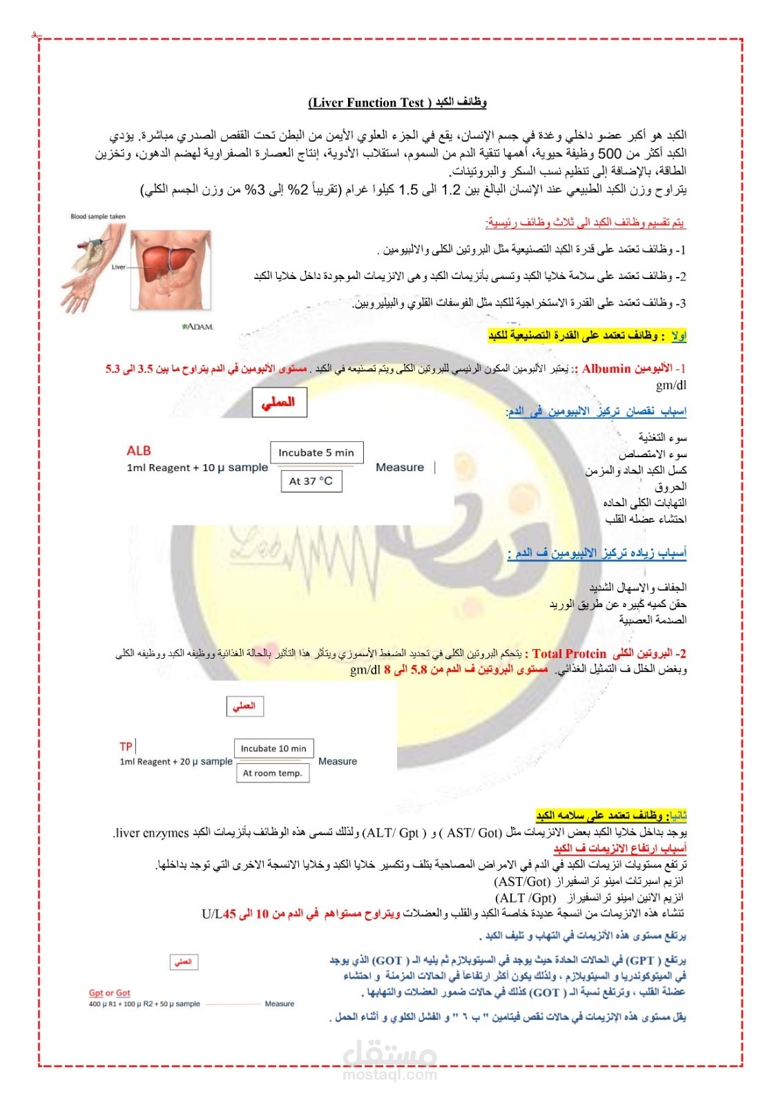 التعليم عن بعد