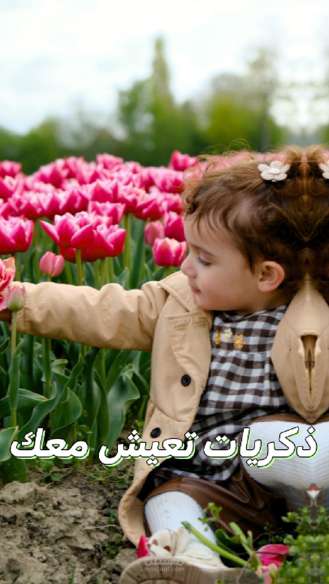 شركة خيثورن الهولنديه