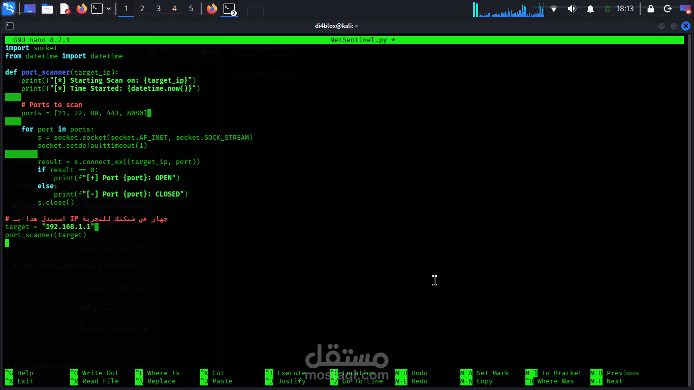 NetSentinel-Py