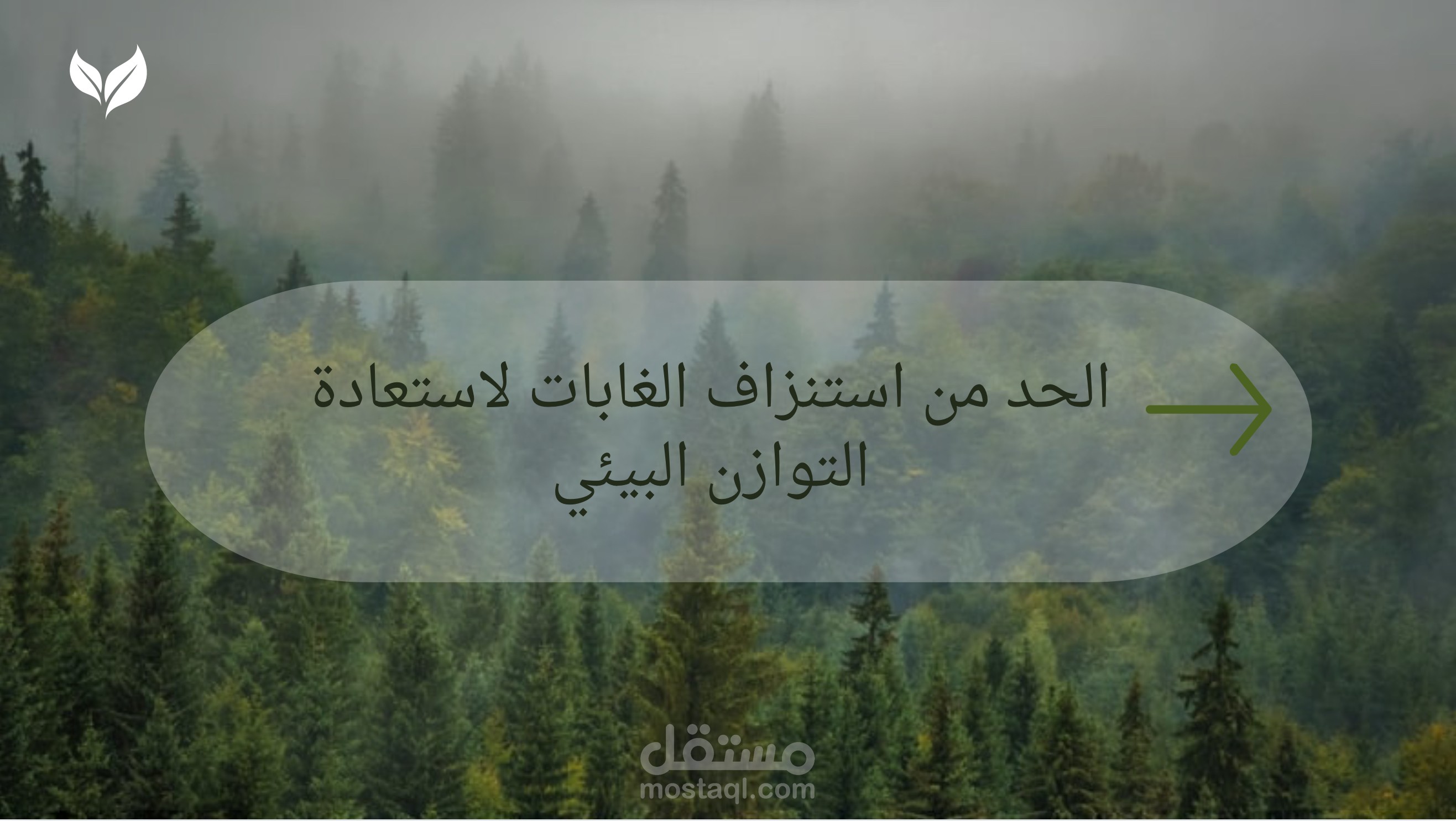 تصميم عرض بيئي احترافي باستخدام Canva