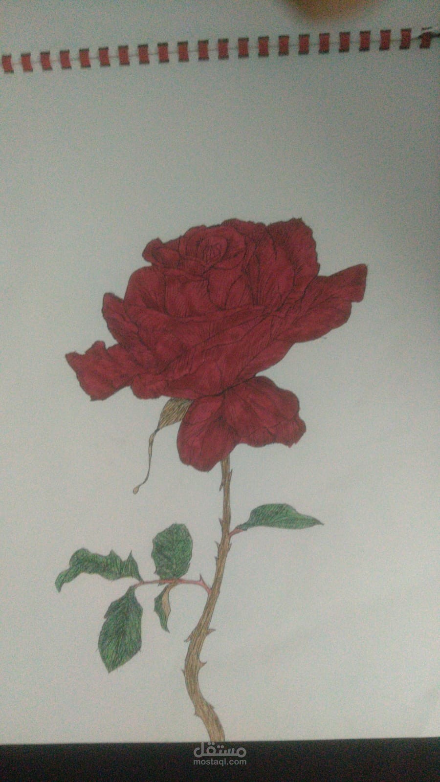 الرسم