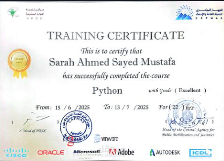 Python Programming Training Certificate – CAPMAS (Central Agency for Public Mobilization and Statistics)