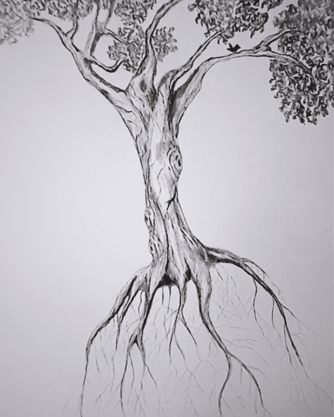 رسم شجرة بعروقها تعبيرا عن ضرورة إنشاء أساس عميق لبناء مستقبل زاهر.