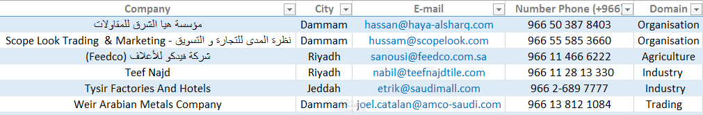 نموذج لداتا شركات سعودية في مختلف القطاعات