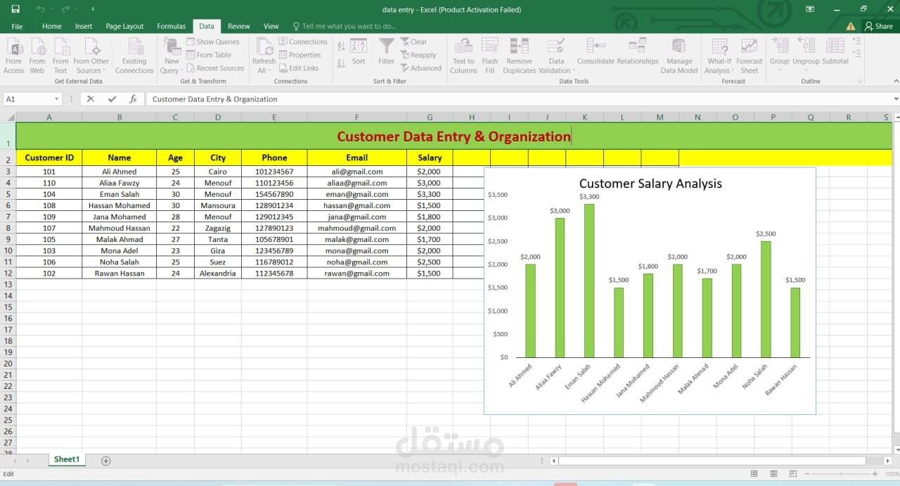Customer Data Entry & Organization