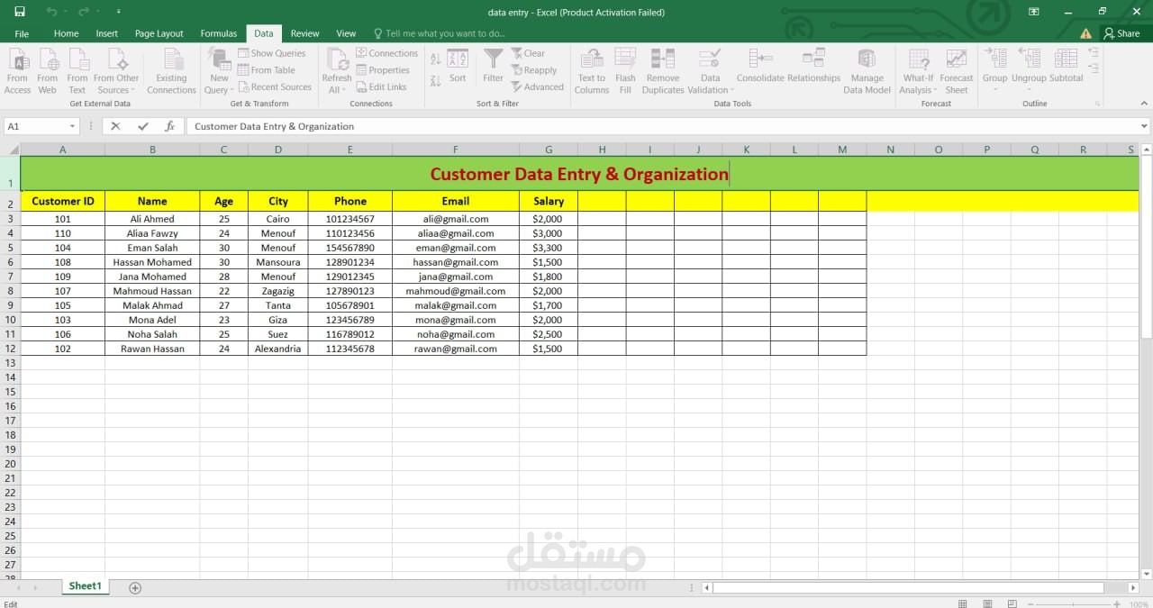 Customer Data Entry & Organization