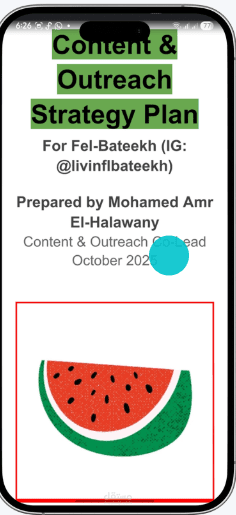 استراتيجية سوشيال ميديا كاملة