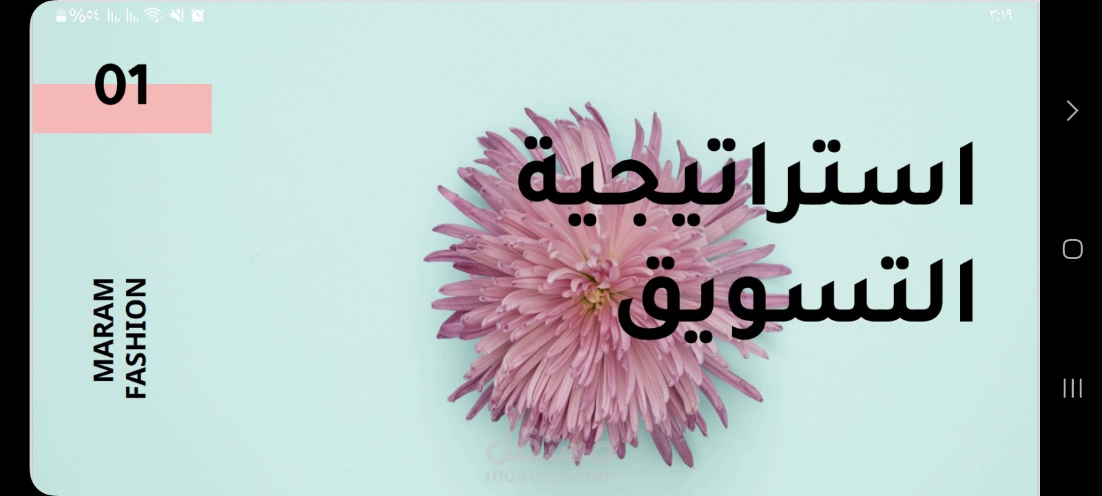 خطة استيراتيجة التسويق