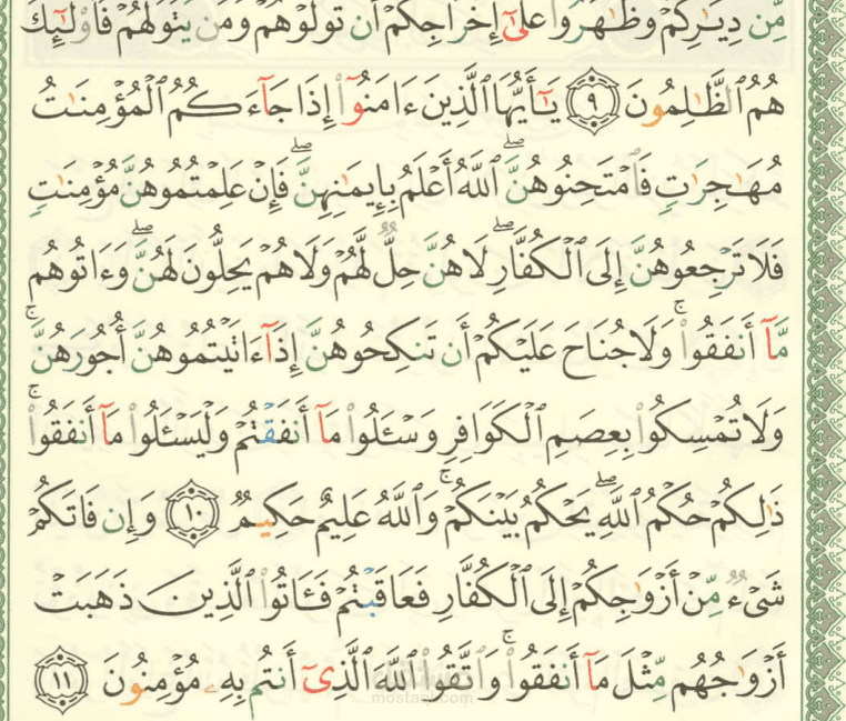 الاسلامية