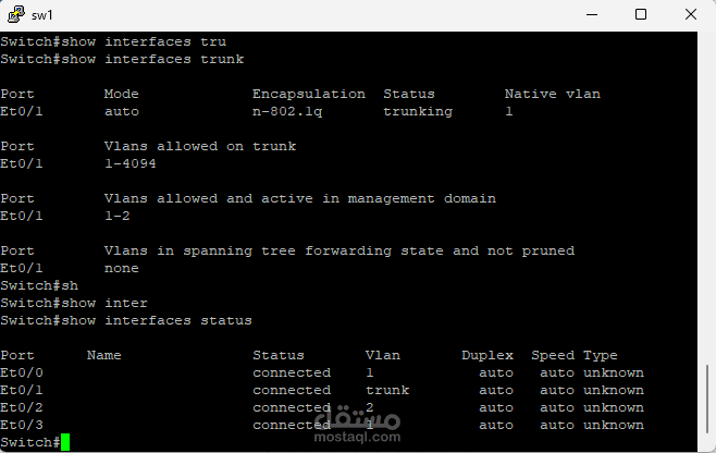 إعداد وتأمين الشبكات المحلية الافتراضية (VLANs) وبروتوكولات الـ Trunking.
