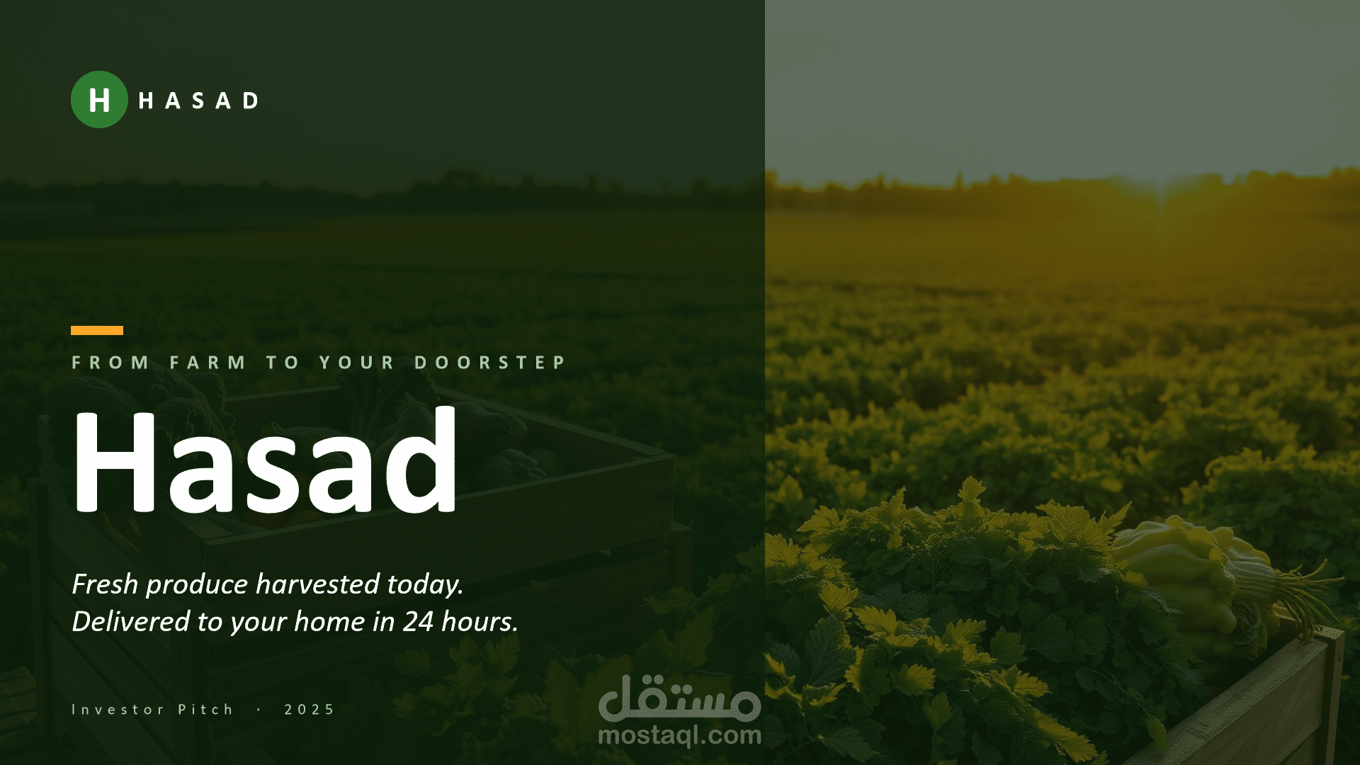 powerpoint for Hasad project
