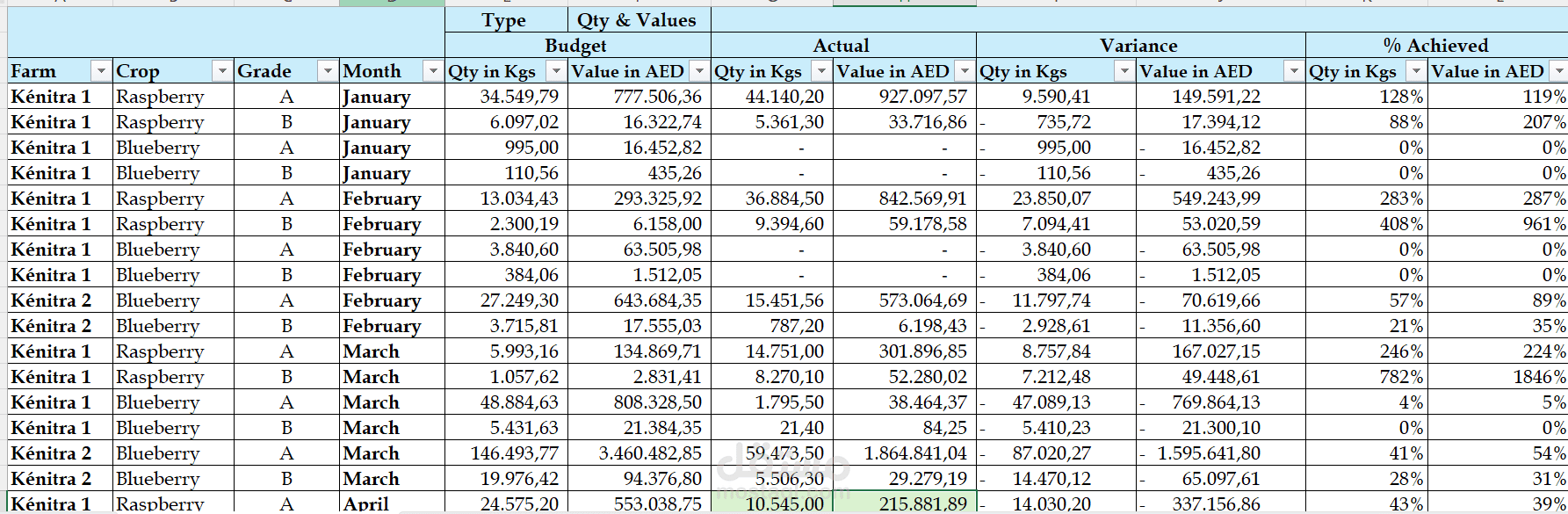 Sales Budget and actual 2026