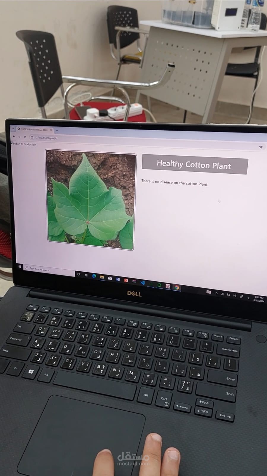 Plant Diseases Detection