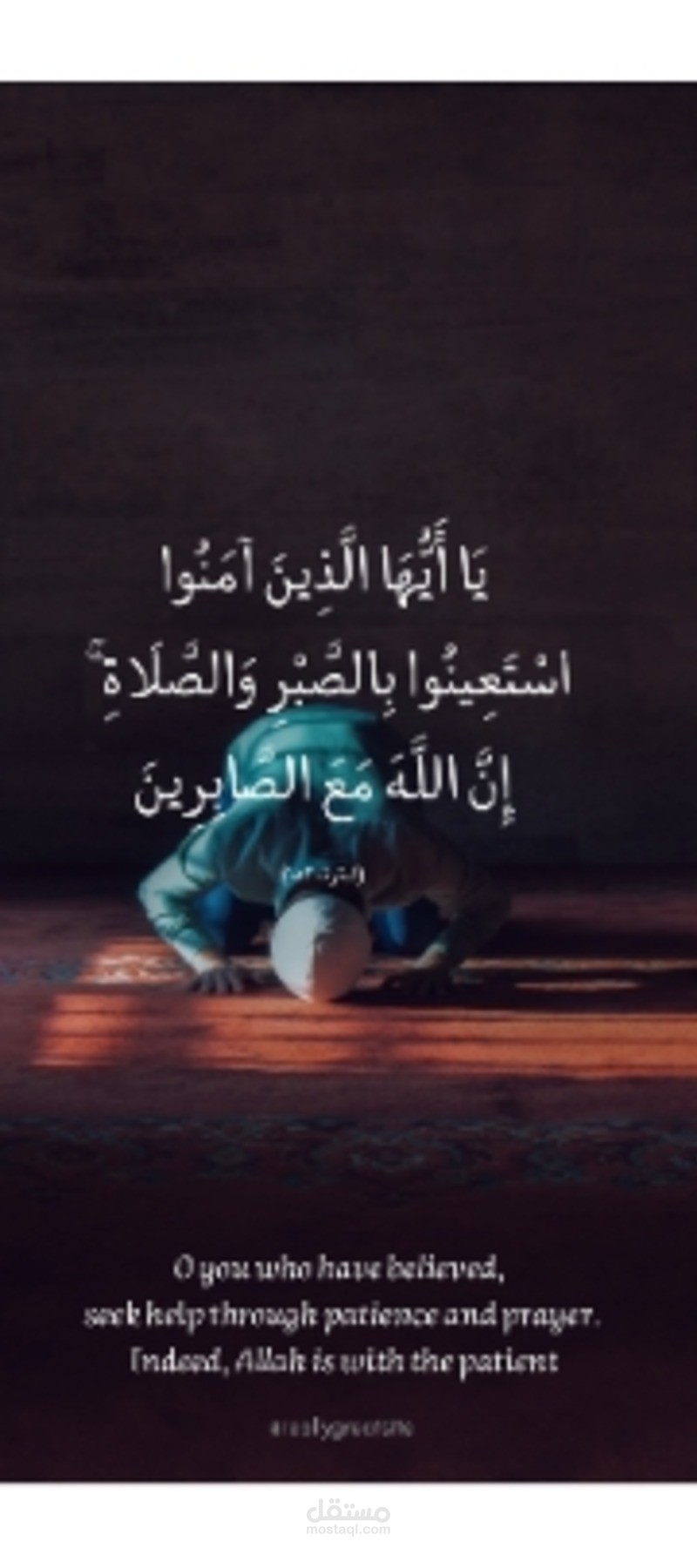 مصمم سوشيال ميديا
