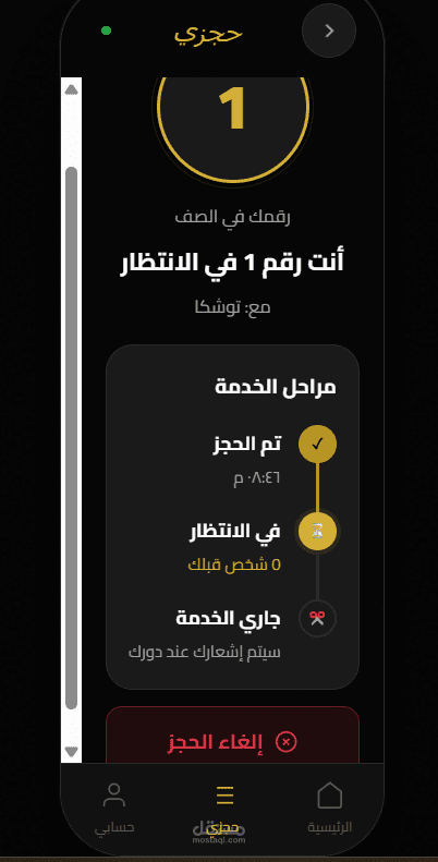 تطبيق ويب ابلكيشن "توشكا"