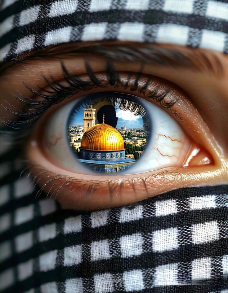 كولاج انيميشن