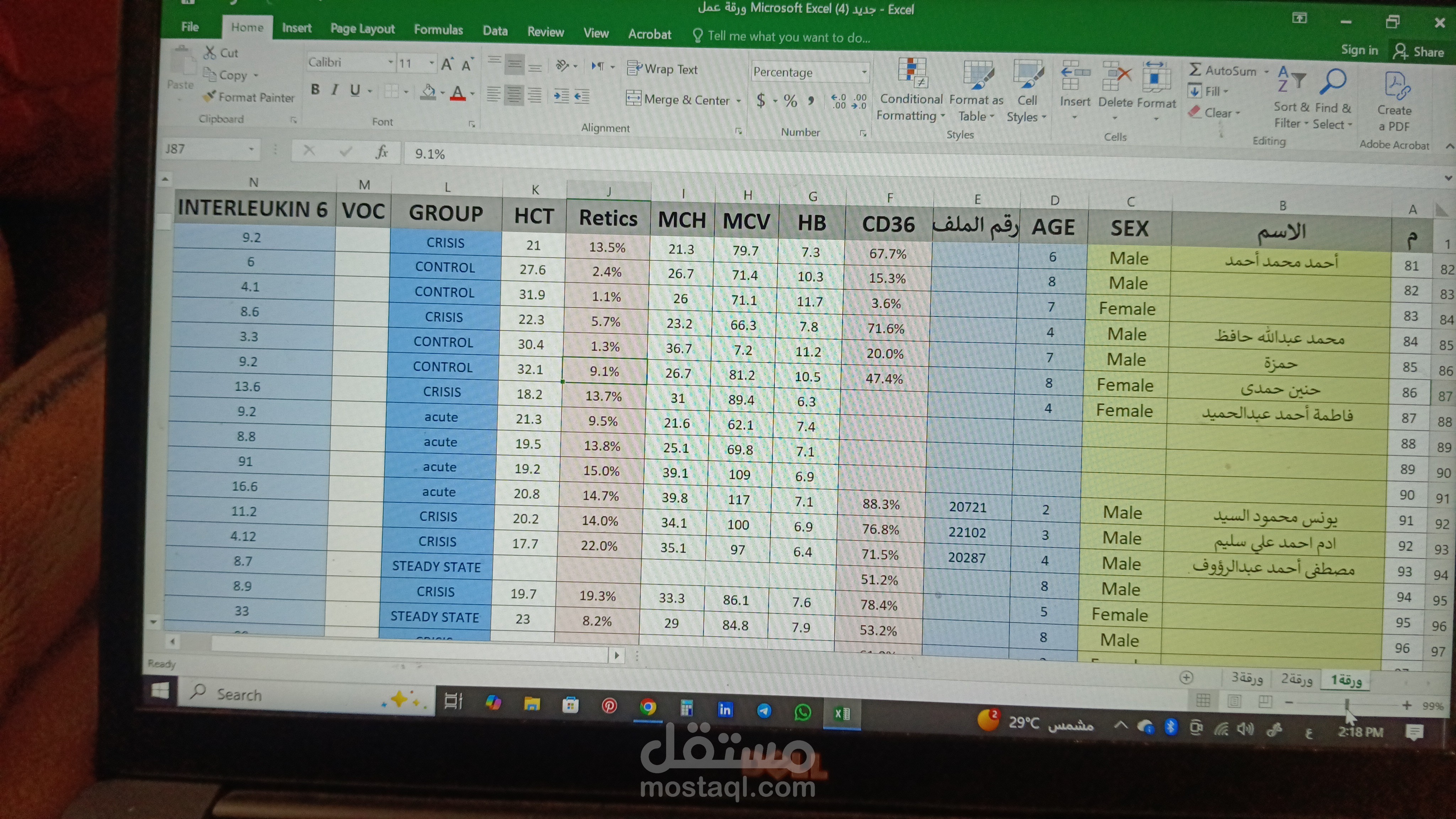 اكسيل شيت