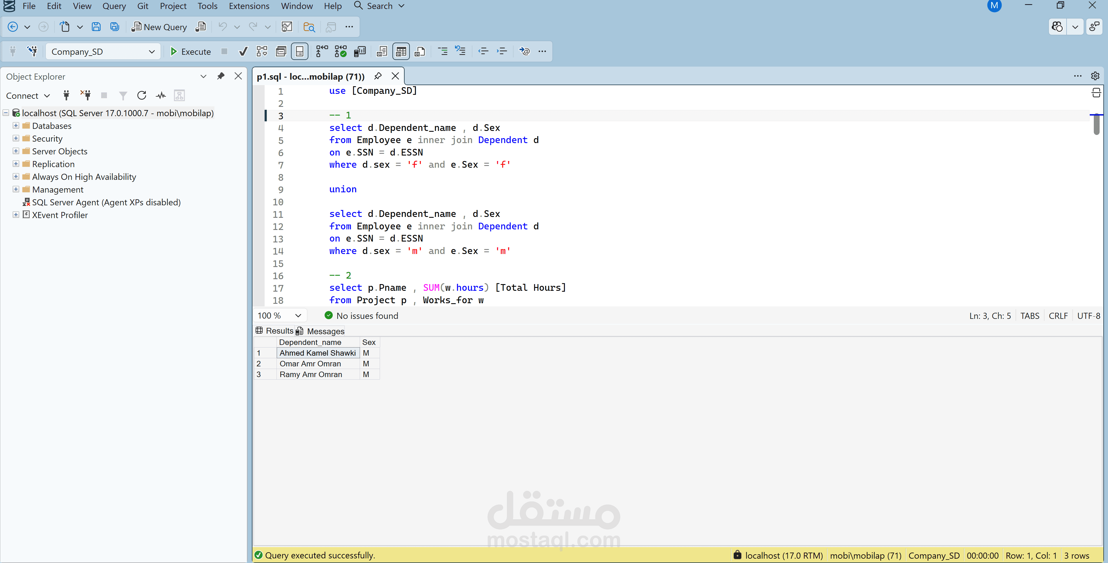 SQL Server Data Analysis & Complex Queries Project (Employee & Company Database)