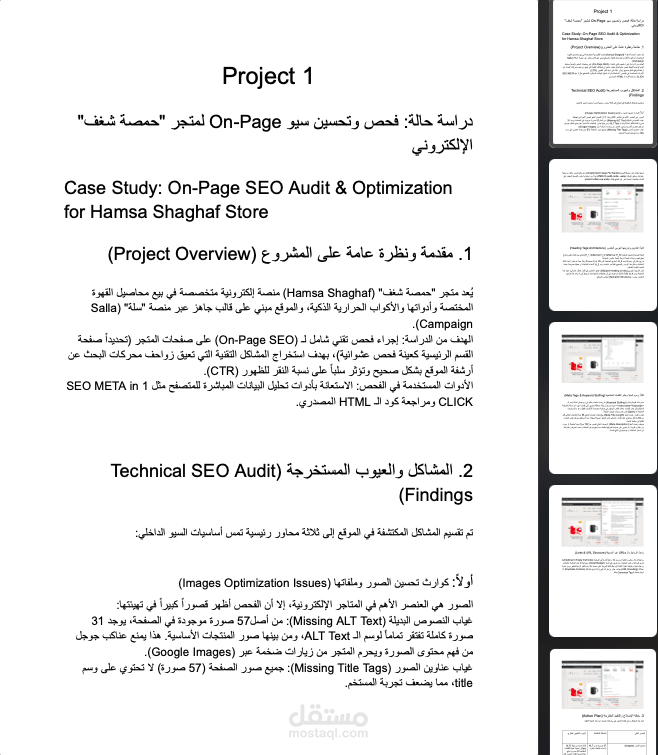 دراسة حالة: فحص وتحسين سيو داخلي (On-Page SEO Audit) لمتجر "حمصة شغف" الإلكتروني