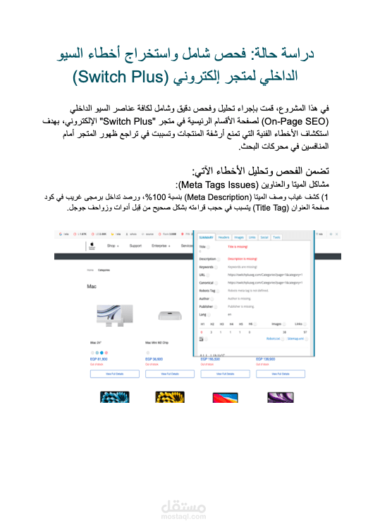 فحص شامل واستخراج أخطاء السيو الداخلي لمتجر Switch Plus