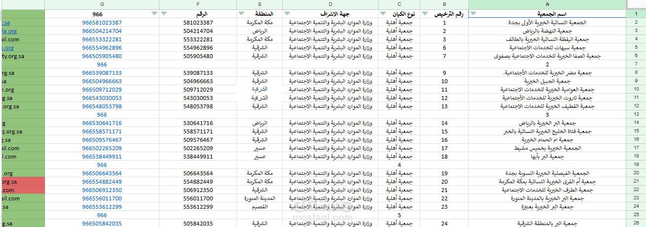 إدخال بيانات وتنظيمها باستخدام Excel